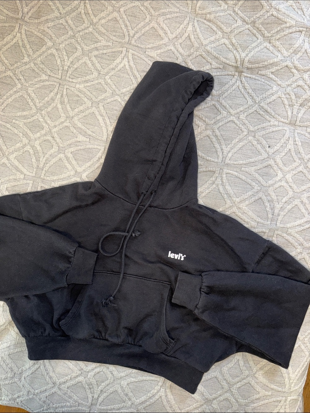 Women’s Cropped Levi Hoodie